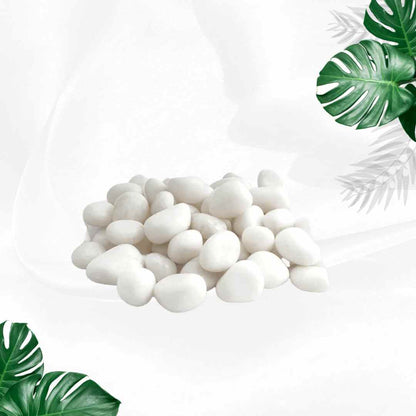 Natural White Stones (Medium - 1kg)