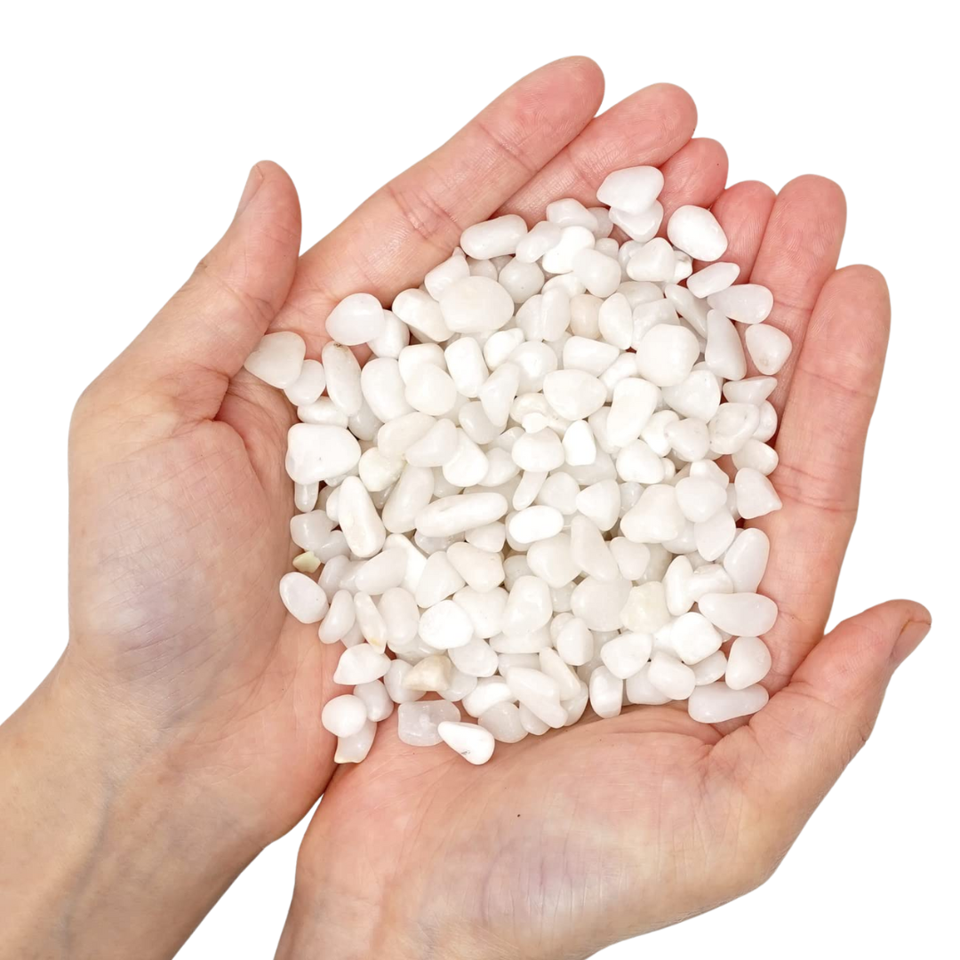 Natural White Chips (Small - 500 grams)