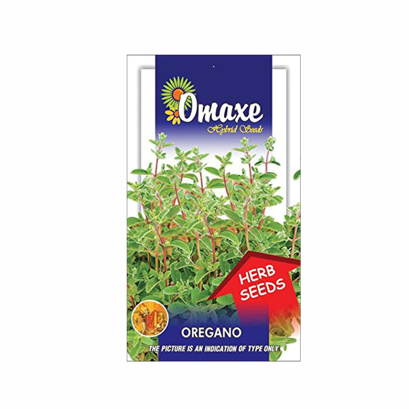 Oregano Seeds