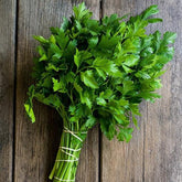 Parsley seeds - Bombay Seeds