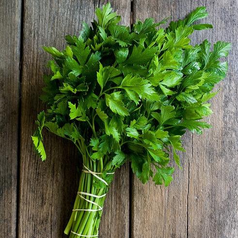 Parsley seeds - Bombay Seeds