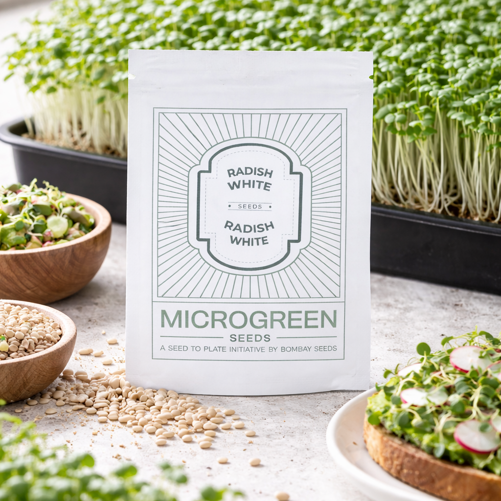 Radish (White) Microgreen Seeds