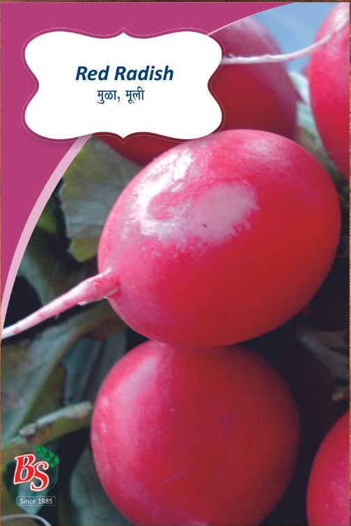 Red Reddish Seeds