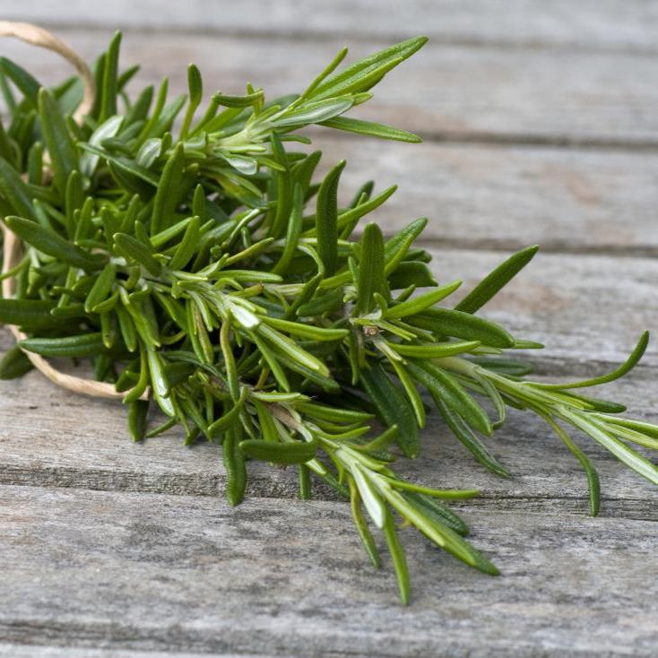 Rosemary Seeds