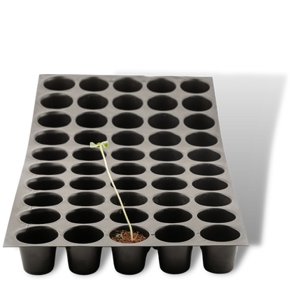 Seedling Tray