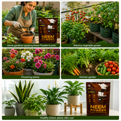 SoilRich Neem Powder 1KG