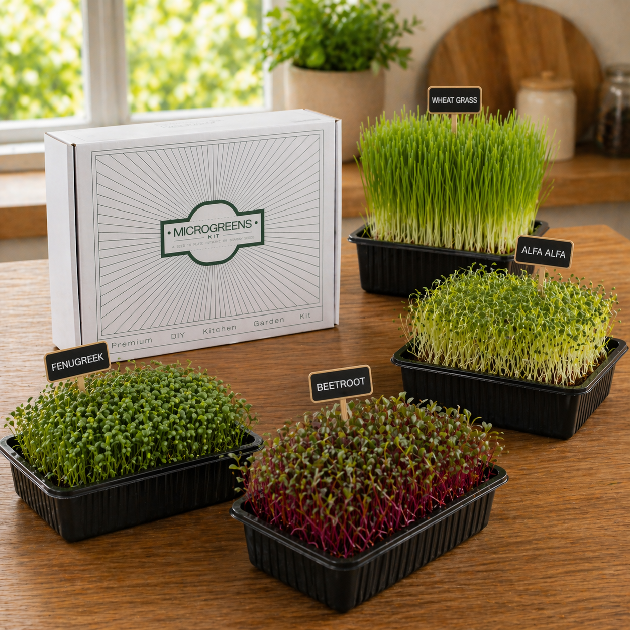 Sprouts &amp; Detox Blend - Microgreen Kit of 4 [Wheat Grass, Alfalfa, Fenugreek, Beetroot]