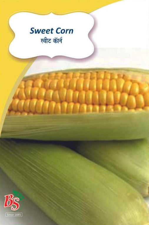 Sweet Corn Seeds