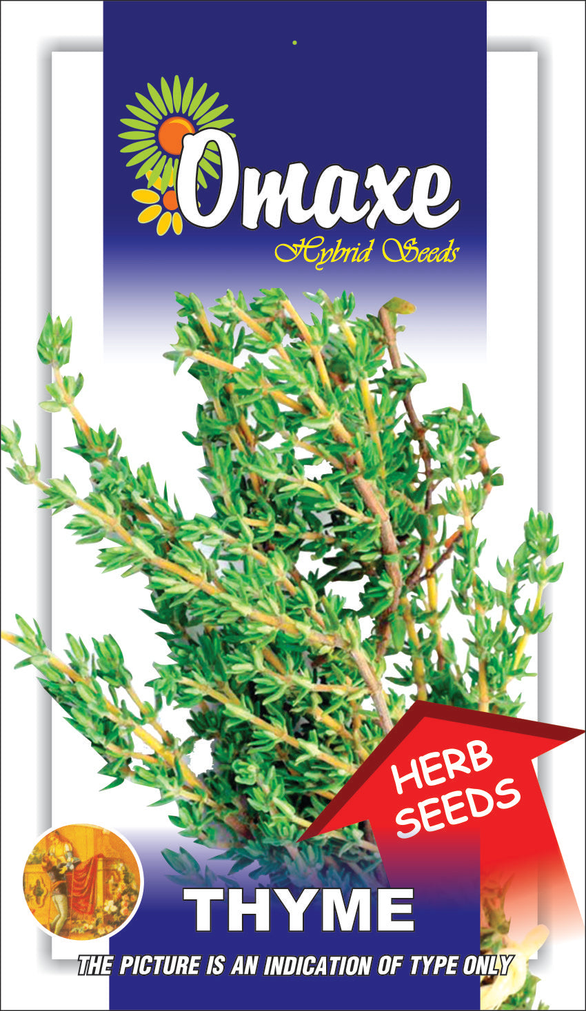 Thyme Seeds