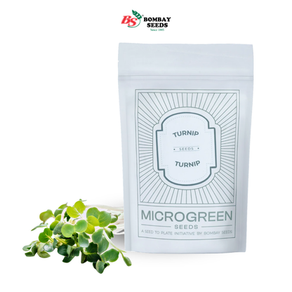 Turnip Microgreen Seeds (50g)