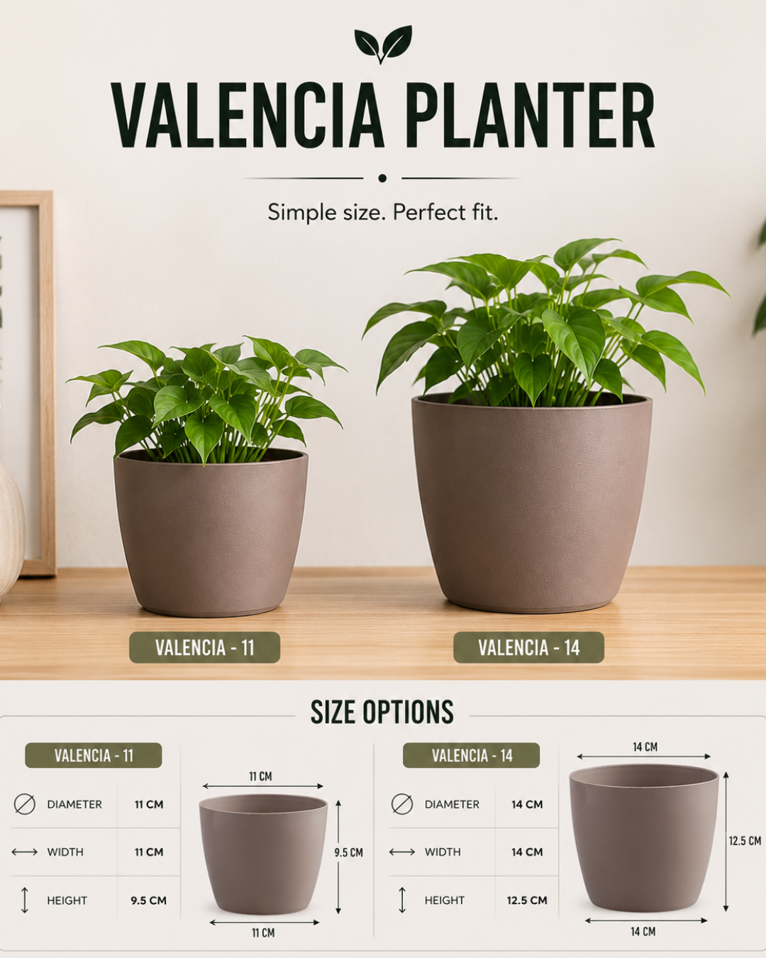 Valencia Planter
