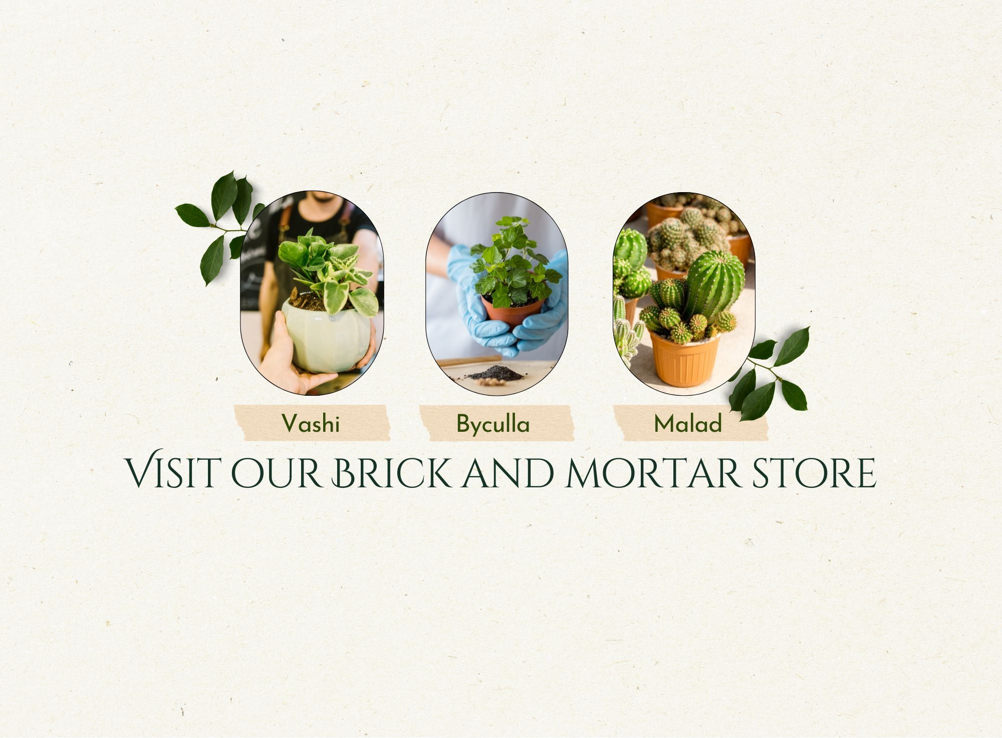 Visit our Brick and mortar stores