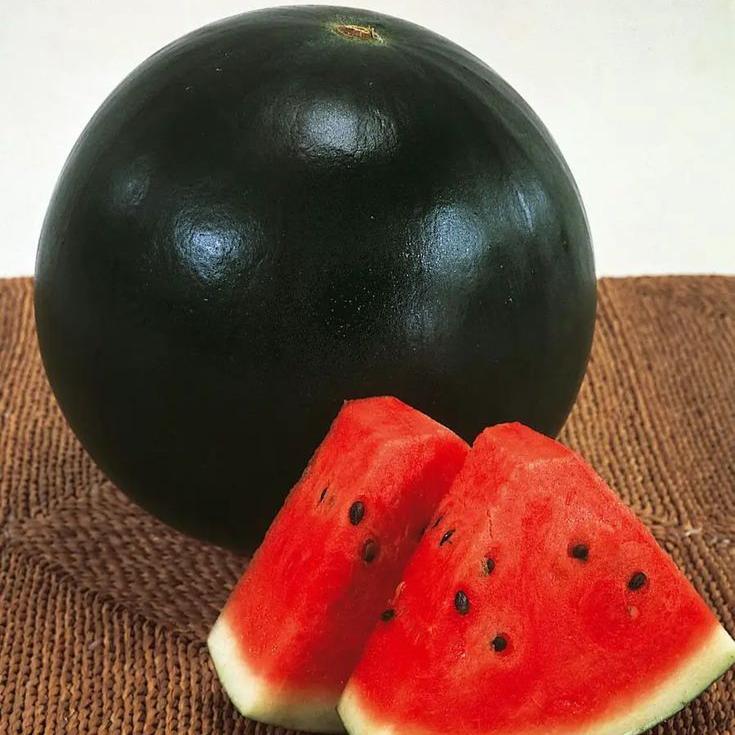 Watermelon Black Seeds