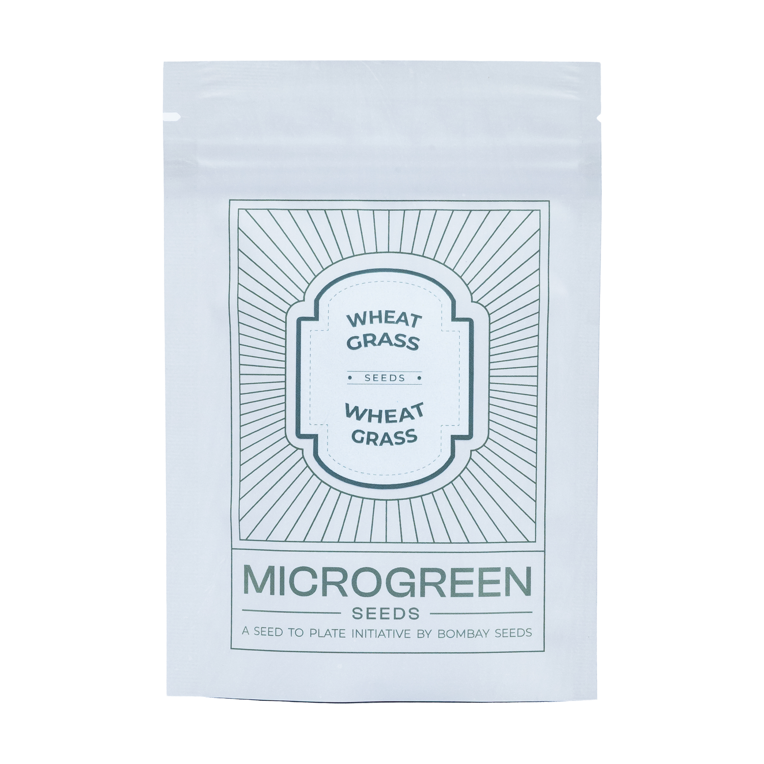 Wheat Grass Microgreen Seeds