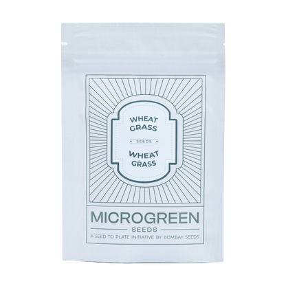 Wheat Grass Microgreen Seeds