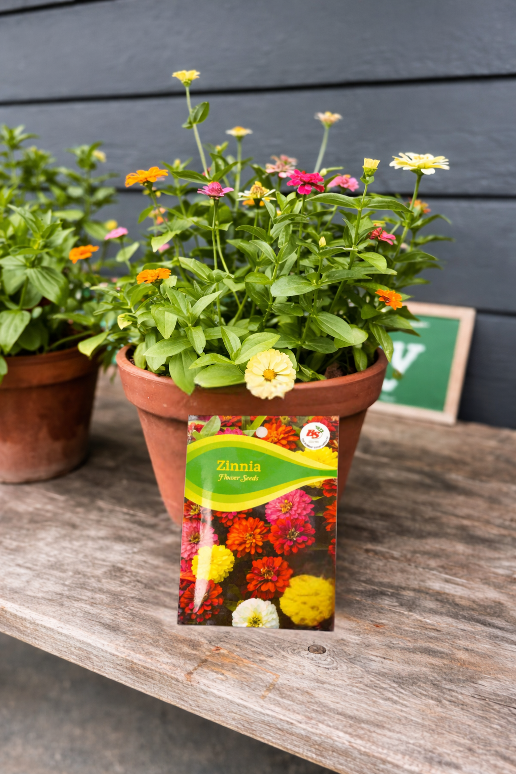 Zinnia Mixed Seeds