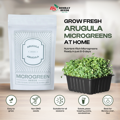 Arugula Microgreen Seeds (50g)