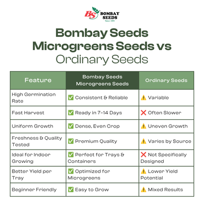 Arugula Microgreen Seeds (50g)