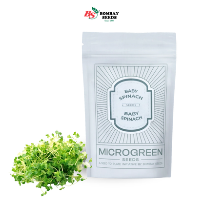 Baby Spinach Microgreen Seeds (50g)