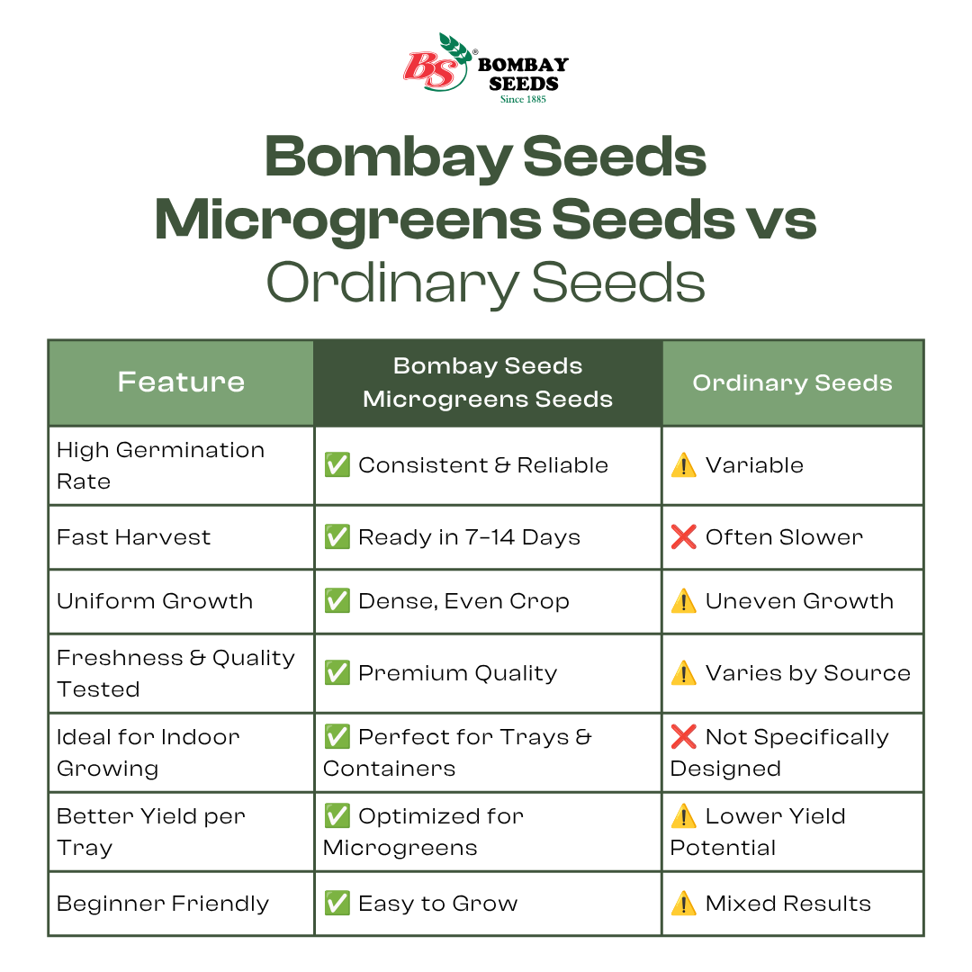 Basil Microgreen Seeds (50g)