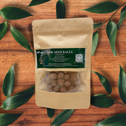 Bor Seed Balls (Pack of 20)