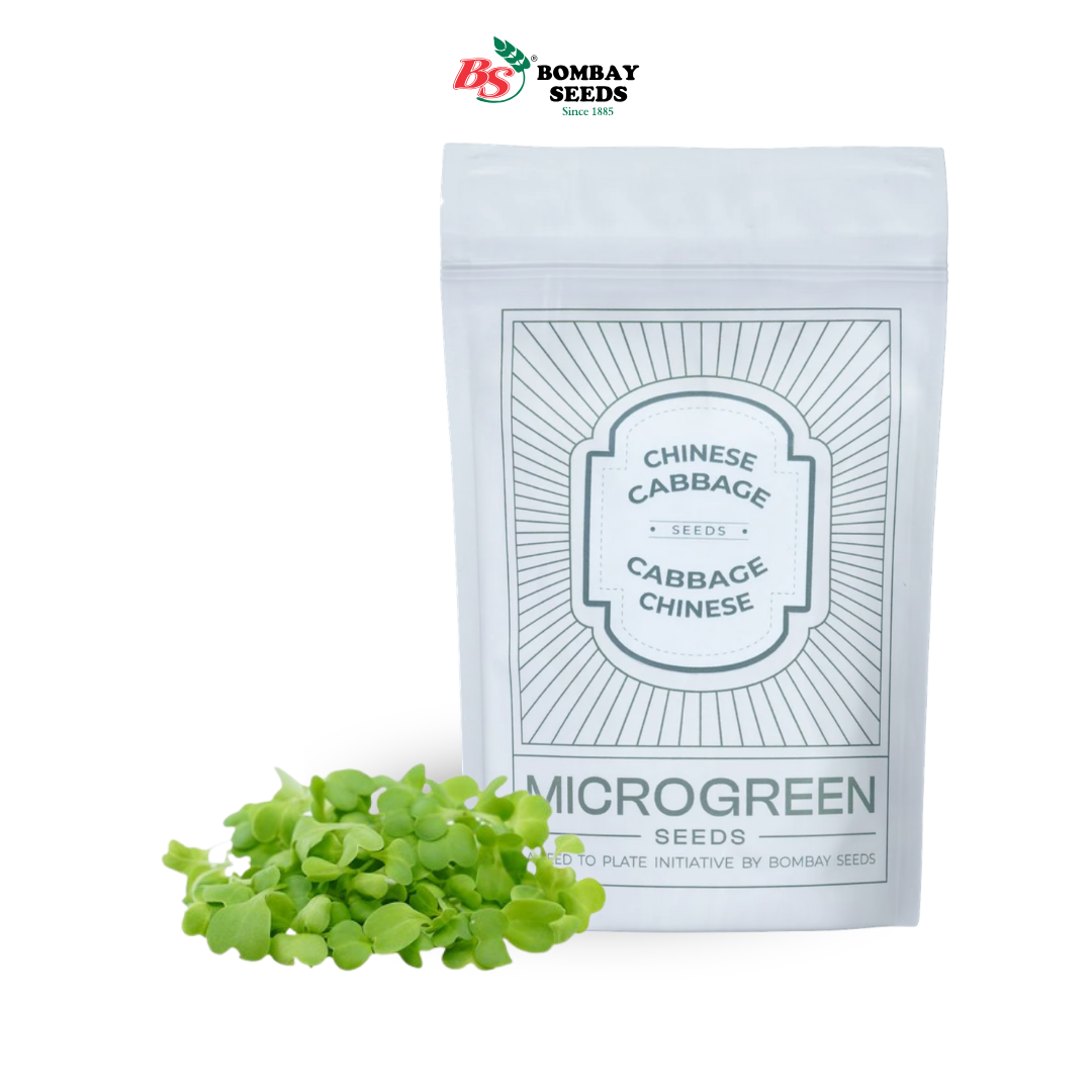 Chinese Cabbage Microgreen Seeds (50g)