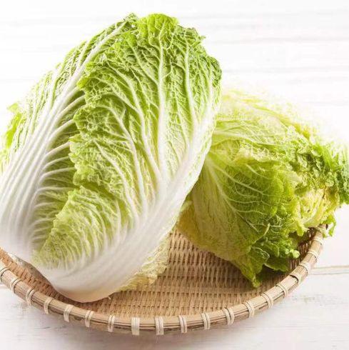 Chinese Cabbage Seeds -Bombay Seeds