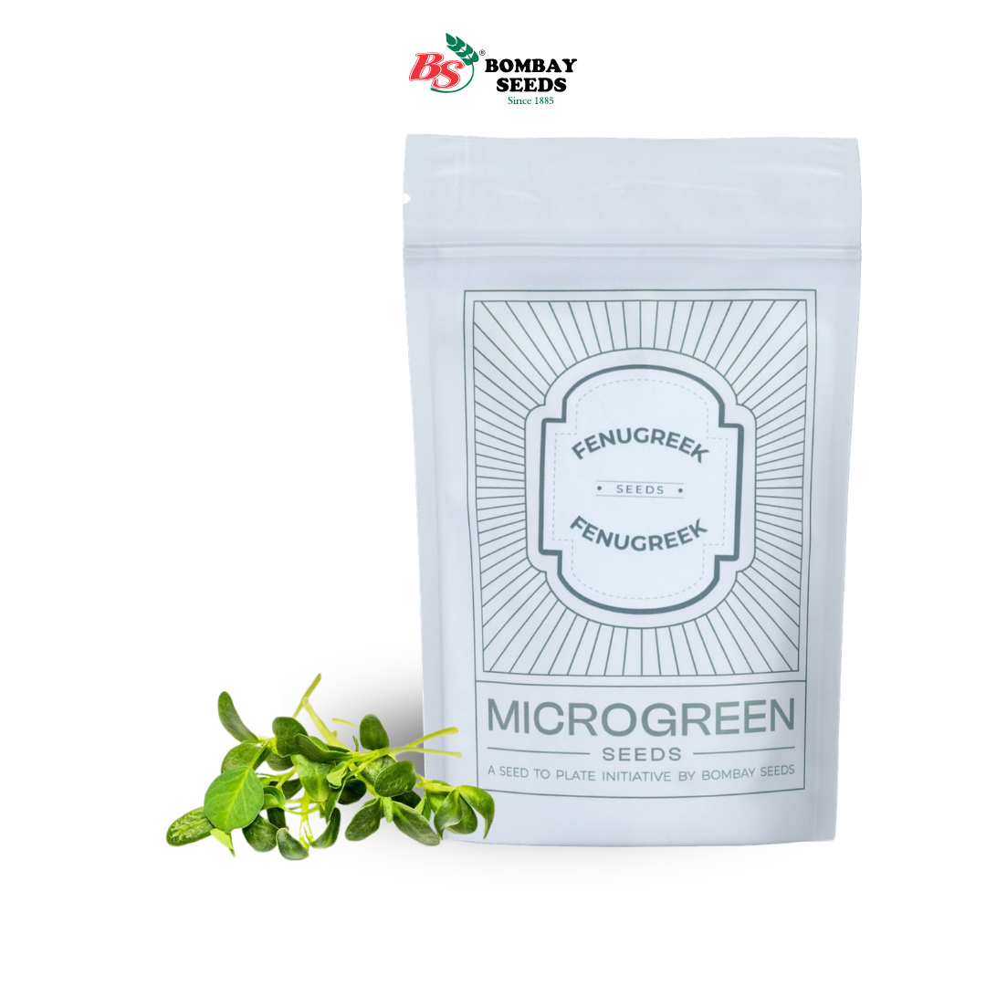   Fenugreek Microgreen Seeds (50g)