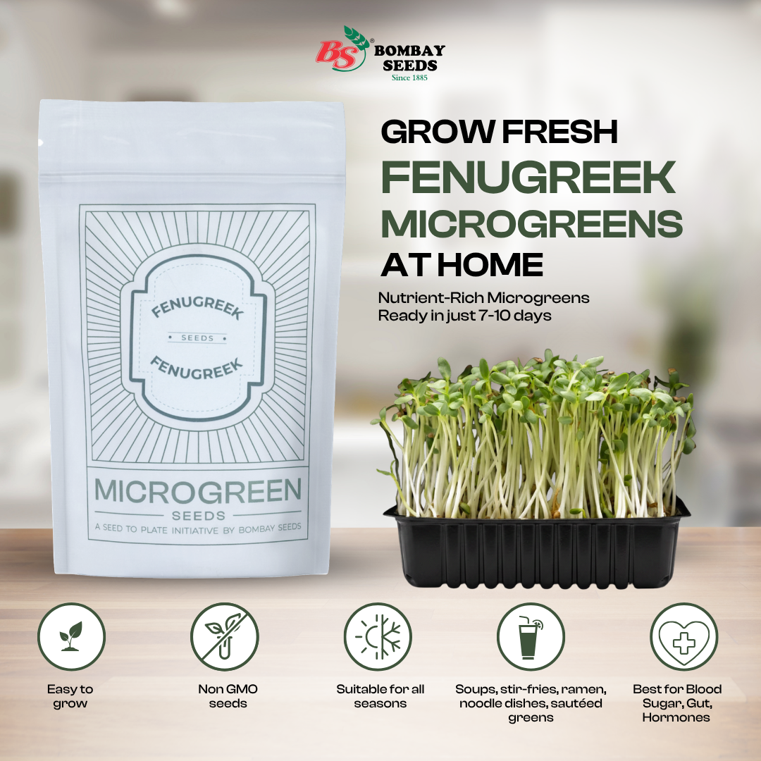   Fenugreek Microgreen Seeds (50g)