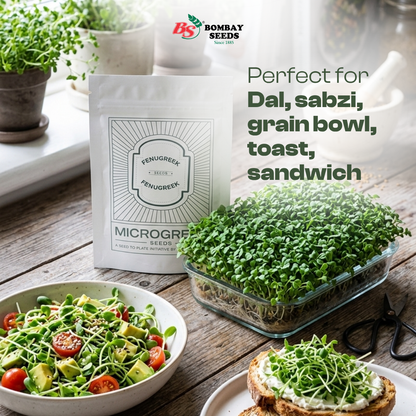   Fenugreek Microgreen Seeds (50g)