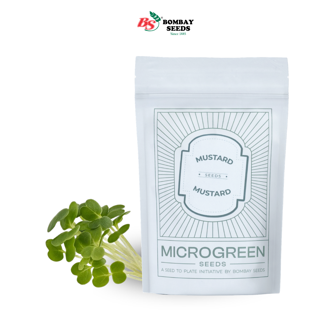Mustard Microgreen Seeds (50g)