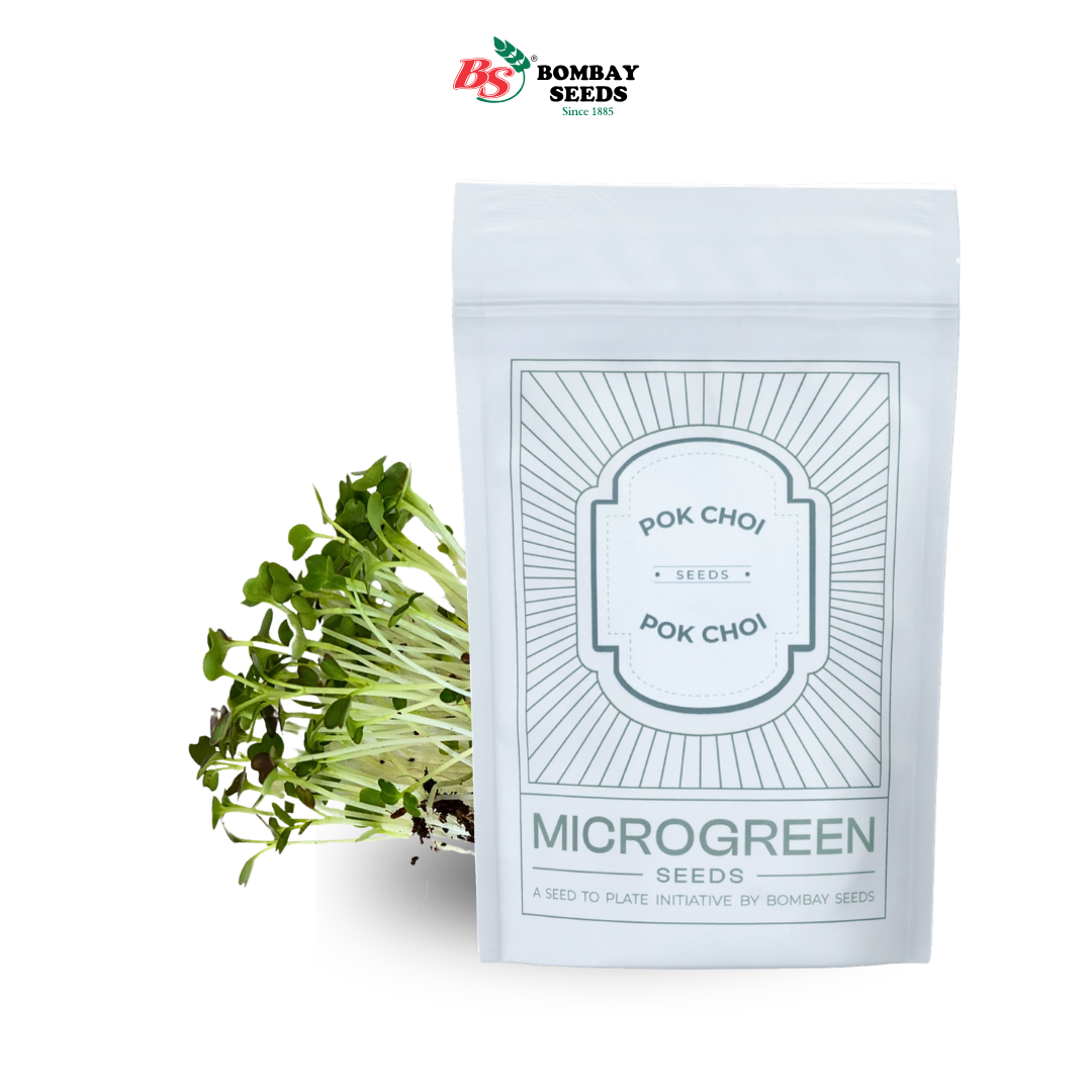 Pak Choi Microgreen Seeds (50g)