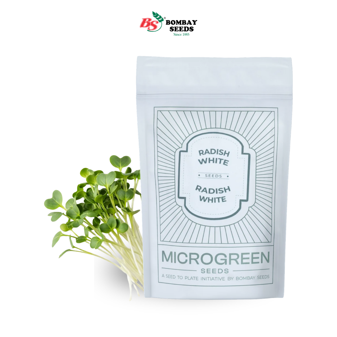 Radish (White) Microgreen Seeds