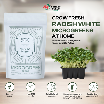Radish (White) Microgreen Seeds