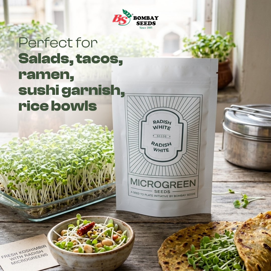 Radish (White) Microgreen Seeds