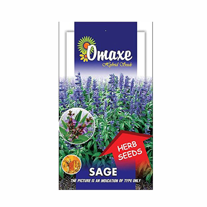 Sage Seeds