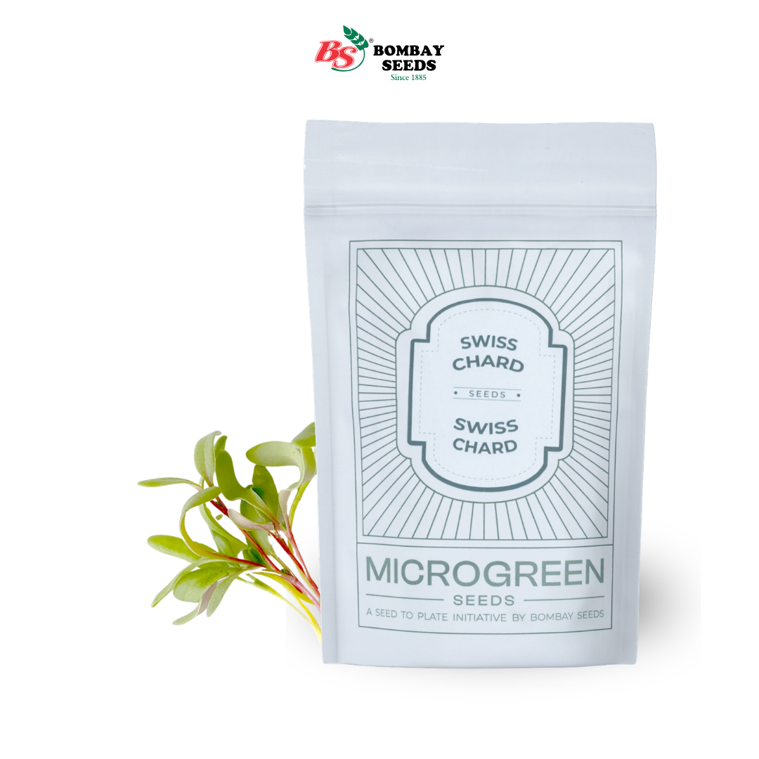 Swiss Chard Microgreen Seeds (50g)