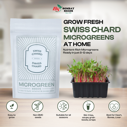Swiss Chard Microgreen Seeds (50g)